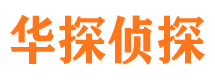 莱西侦探公司